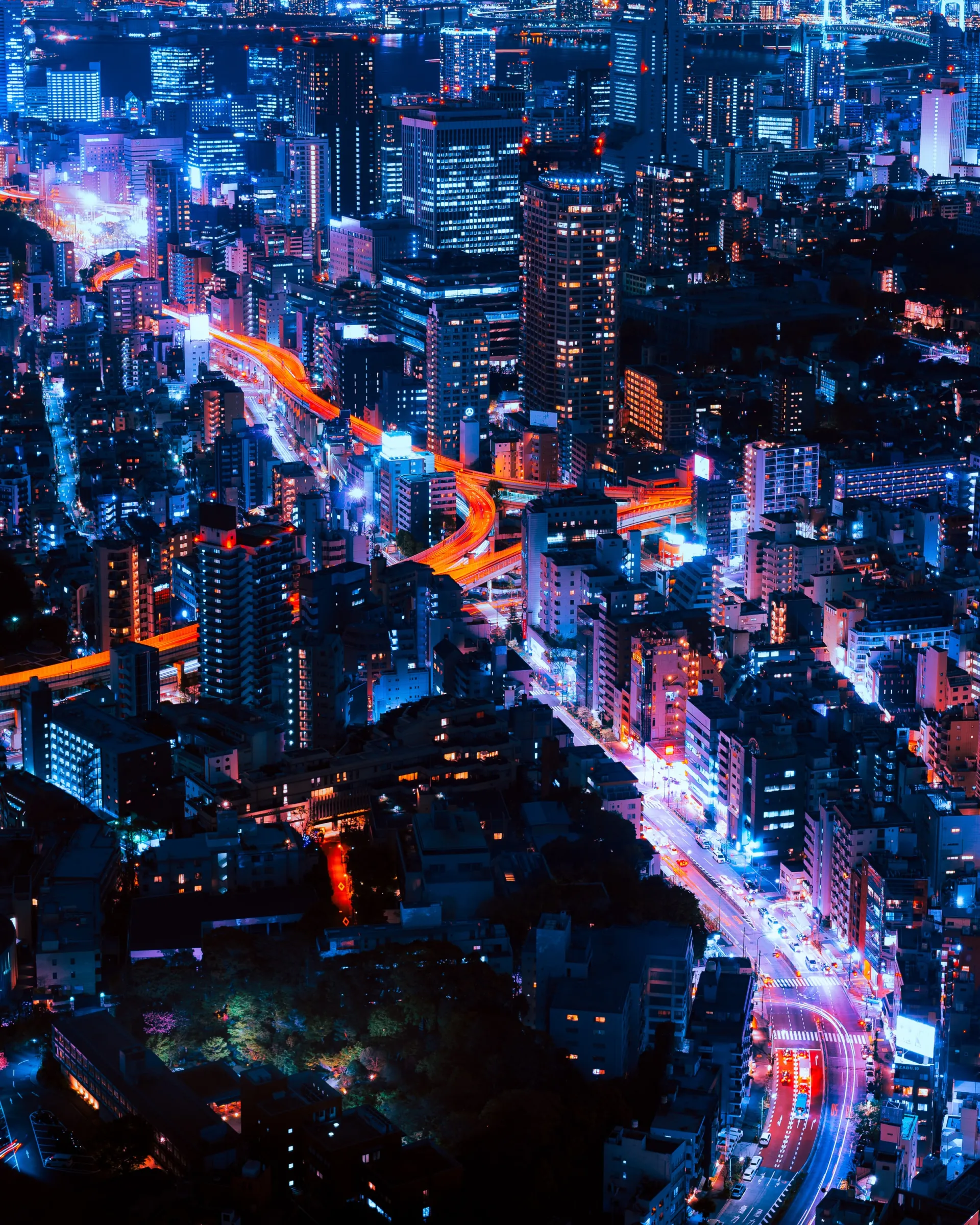 Tokyo skylines at night