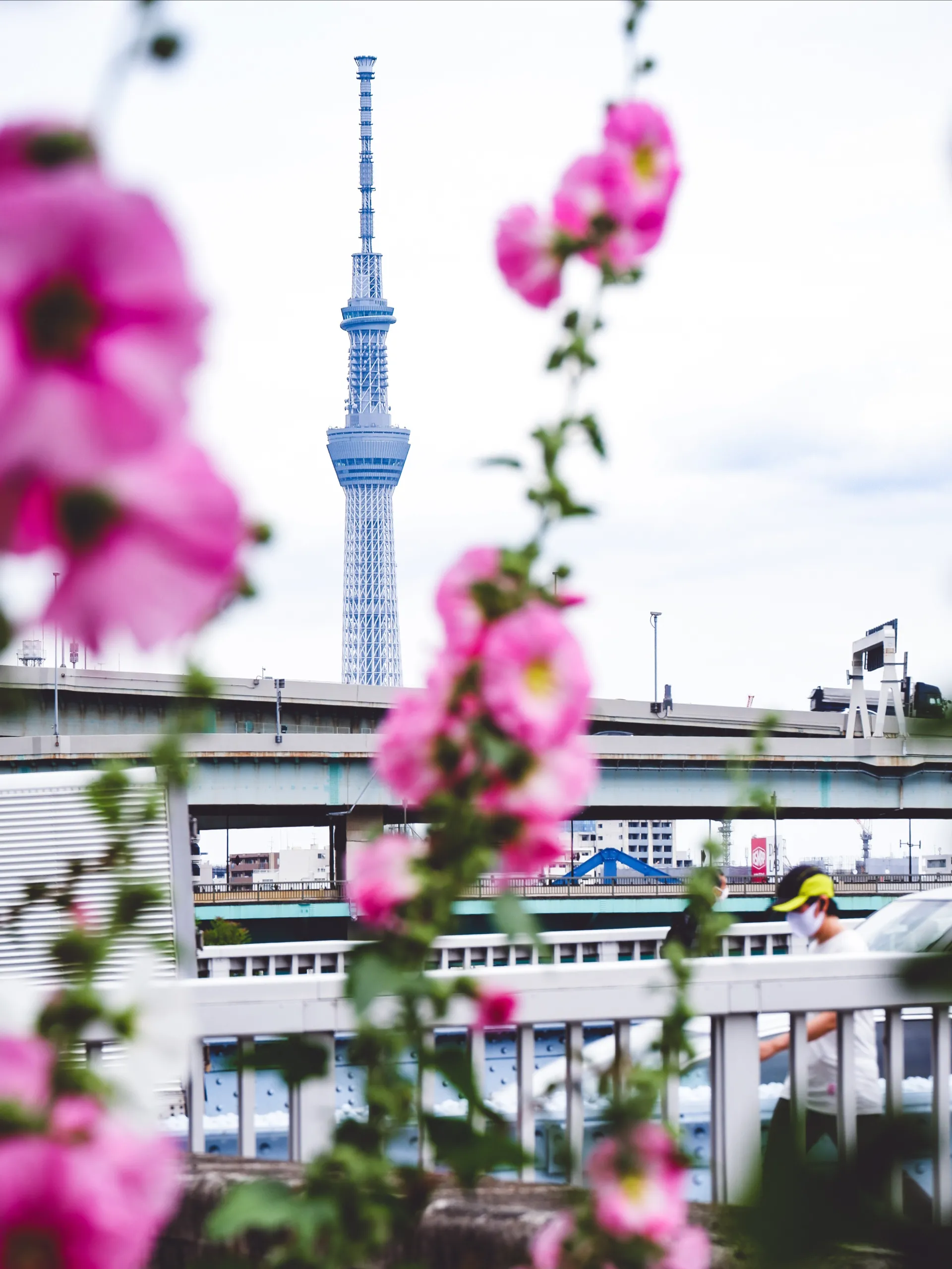 Tokyo Skytree Sumida City